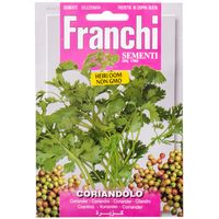 Franchi Sementi Coriander
